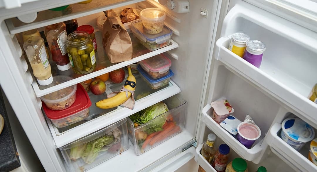 Food waste - wilted vegetables and expired food